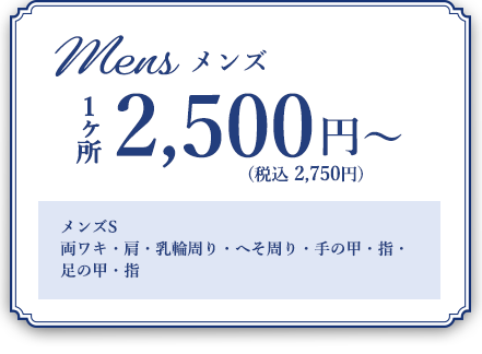 mens メンズ 1カ所2,750円（税込）～　メンズS　両ワキ・肩・乳輪周り・へそ周り・手の甲・指・
足の甲・指